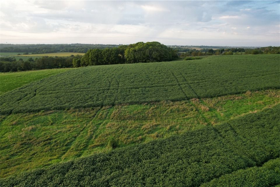 Listing Photo: Lot 2 - Drone Pic (15)